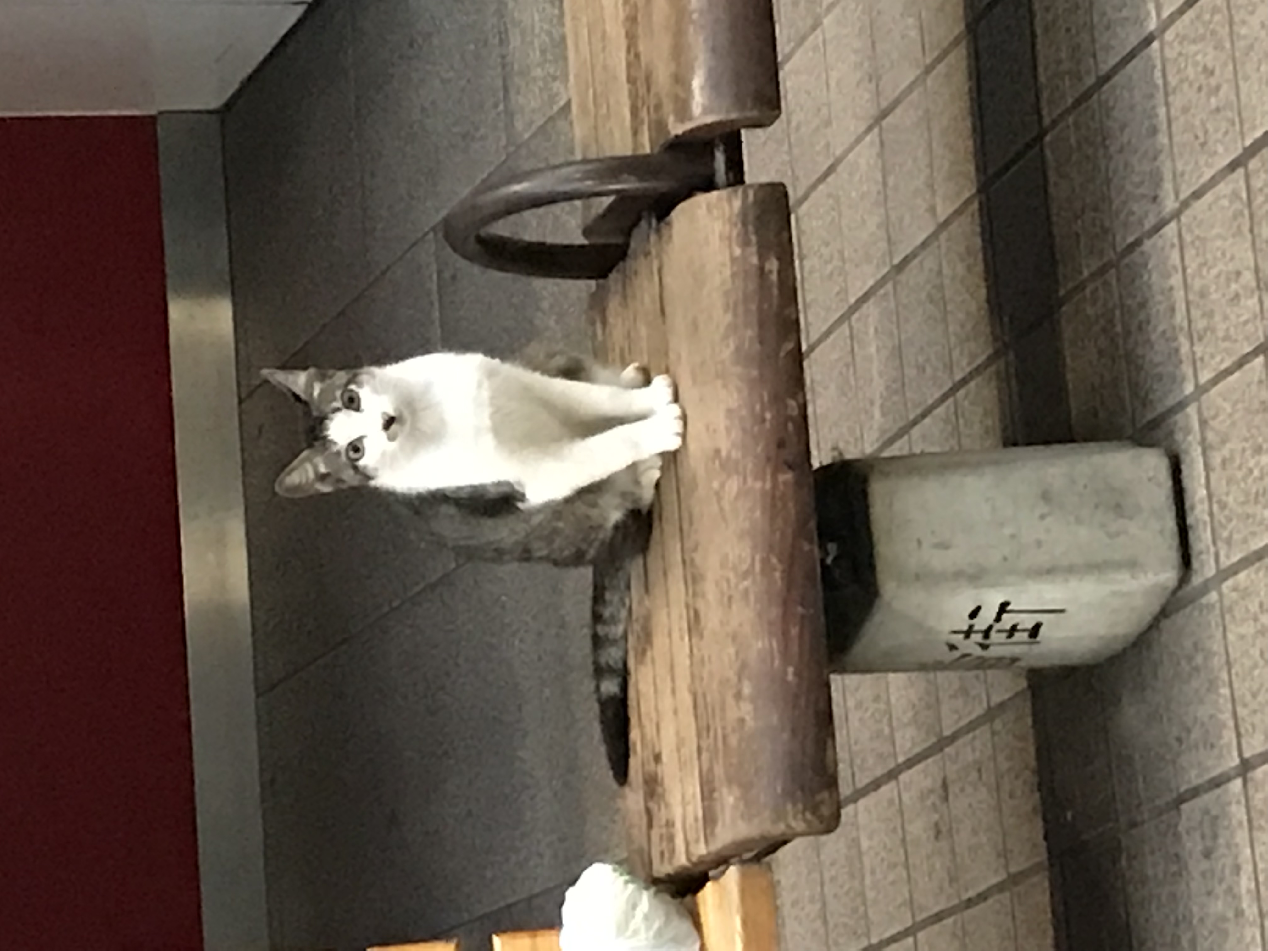 週末の お知らせ。。。